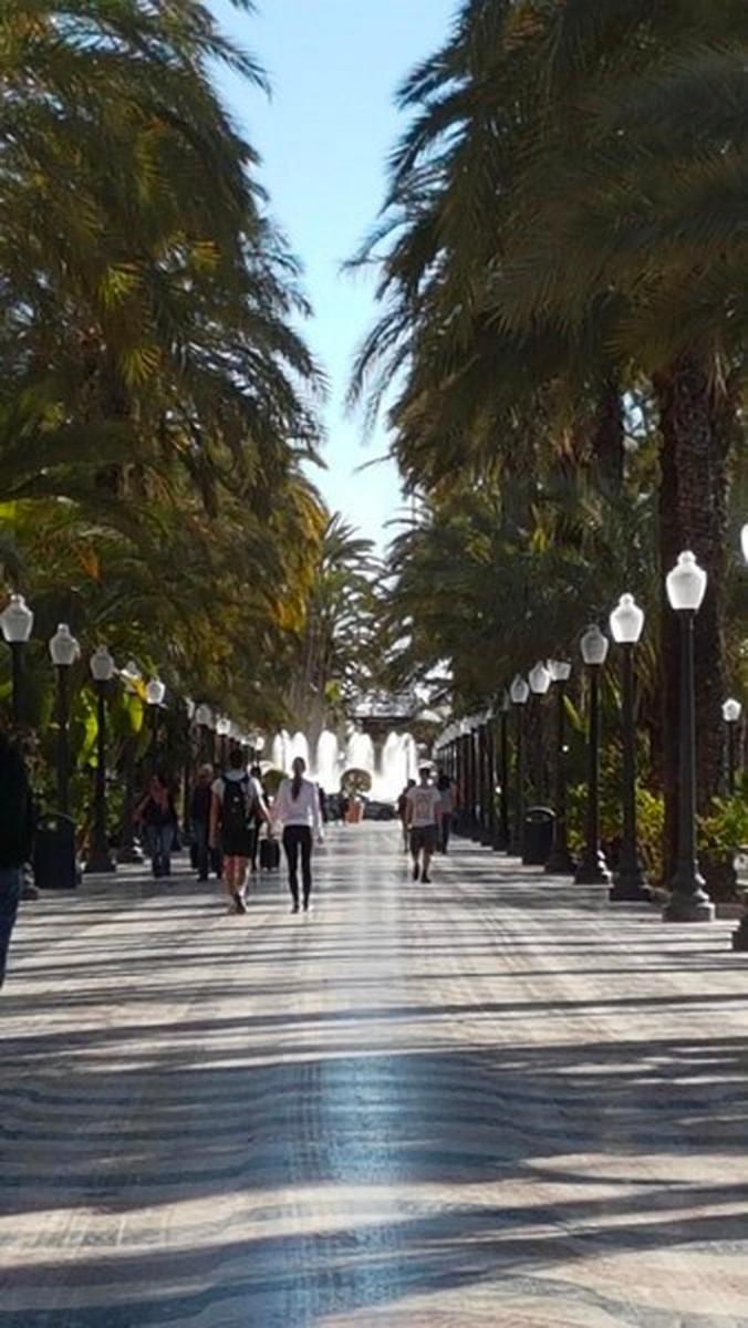 Mediterraneo Beach Munoz Apartment Alicante Exterior photo